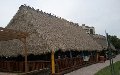 Al’s Tiki Bar