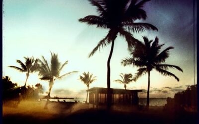 A Captivating Shot of Islamorada Key